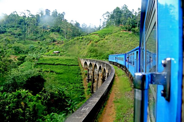 Train à travers les plantations de thé de thé - Sri Lanka