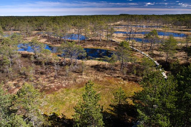 Voyage L'essentiel des pays baltes de Vilnius à Tallinn