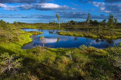 © Lukasz Kaluza - Parc National de Kemeri - Lettonie Parc National de Kemeri - Lettonie