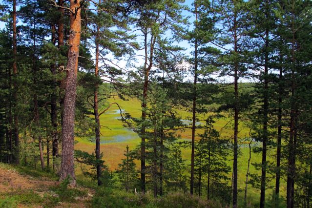 Image Parcs nationaux et patrimoine des pays baltes