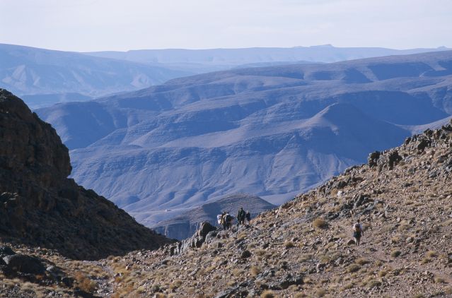 Voyage avec ânes - Le Sagho, la montagne et le désert