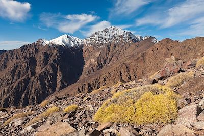 Parc national du Toubkal - Haut-Atlas - Maroc