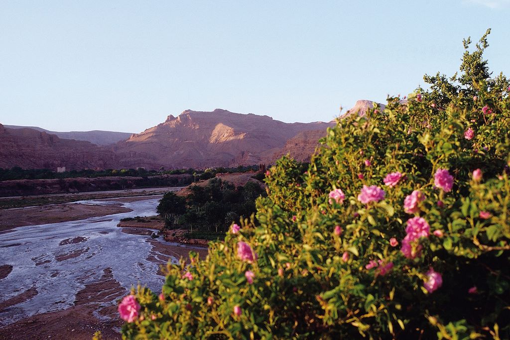 Voyage Roses du M'Goun et Berbères de l'Atlas 2