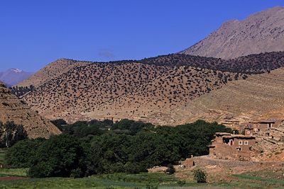 © Laurent Boiveau - Aït Bougmez - Haut Atlas central - Maroc Aït Bougmez - Haut Atlas central - Maroc