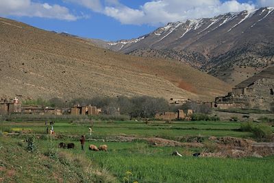 © Julien Paturaud - Ait Bougmez et Dar si Hamou - Haut Atlas - Maroc Ait Bougmez et Dar si Hamou - Haut Atlas - Maroc