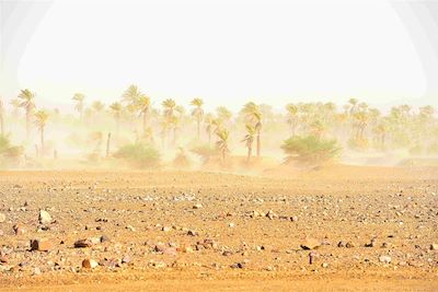 © Louis Puthod - Vent de sable - Sahara - Maroc Vent de sable - Sahara - Maroc