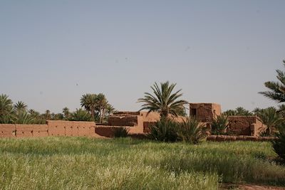 Village de M'Hamid - Maroc