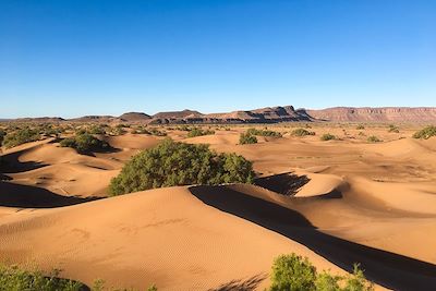 Désert de dunes - Maroc