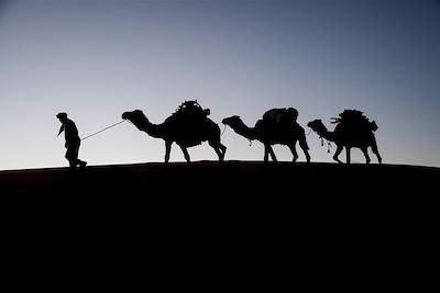 © Arnaud Bernard - Caravane dans le désert marocain Caravane dans le désert marocain