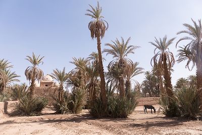 © Brice Portolano - M'Hamid El Ghizlane - Zagora - Maroc M'Hamid El Ghizlane - Zagora - Maroc