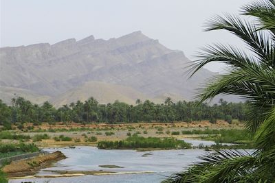 © Mabrouk Hamrit - La vallée du Drâa - Maroc La vallée du Drâa - Maroc