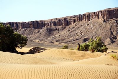 Sahara près du village de Foum Zguid - Maroc