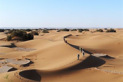 Randonnée dans les dunes du Sahara - Maroc