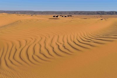 Zireg - Sahara - Maroc