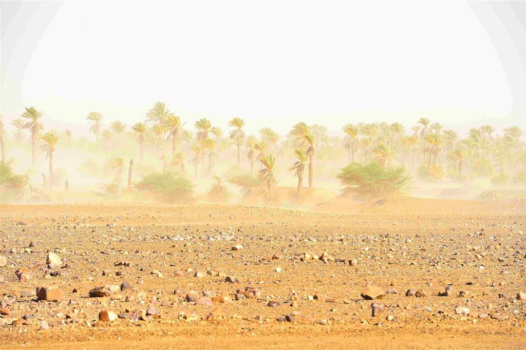 Voyage Désert et dunes du Drâa 2