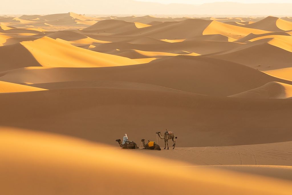 Voyage Désert et dunes du Drâa 1
