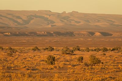 © Brice Portolano - Erg Chegaga - Sahara - Maroc Erg Chegaga - Sahara - Maroc