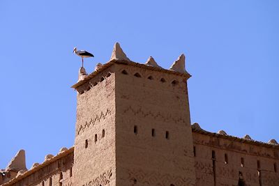 Dans la vallée M'Goun - Versant sud-est du Haut Atlas - Maroc