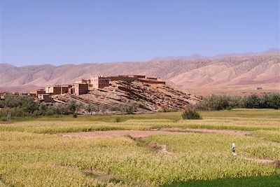 Dans la vallée M'Goun - Versant sud-est du Haut Atlas - Maroc