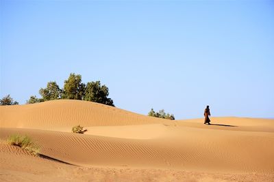 © Priscila Telmon - Dans la vallée du Draa - Maroc Dans la vallée du Draa - Maroc
