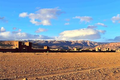 Randonnée avec mulet Sahara