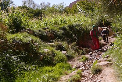 © Stéfane Buvot - Dans la vallée M'Goun - Versant sud-est du Haut Atlas - Maroc Dans la vallée M'Goun - Versant sud-est du Haut Atlas - Maroc
