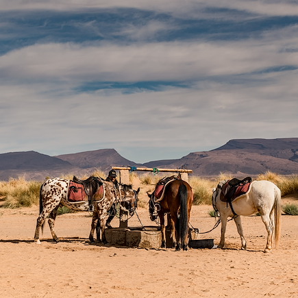 Découverte Maroc Sahara