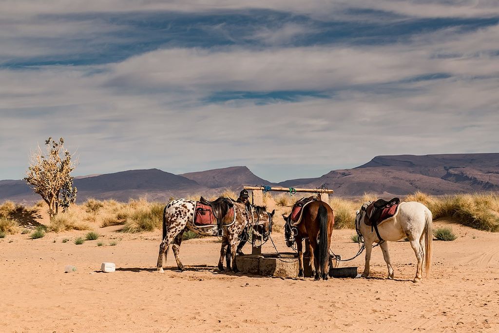 Voyage Echappée saharienne à cheval 2