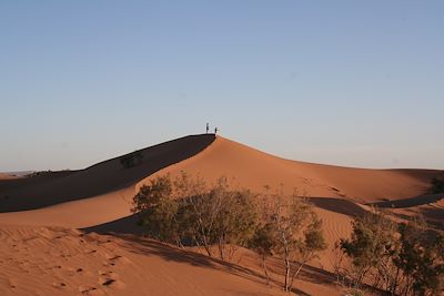 Dunes de M'Hamid - Maroc