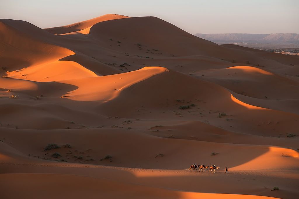 Voyage Immersion au cœur des hautes dunes sahariennes 1