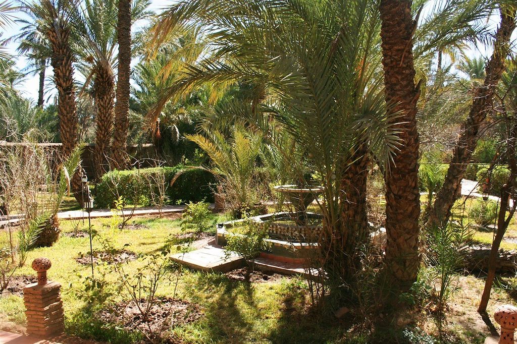 Voyage Entre oasis et Sahara 1