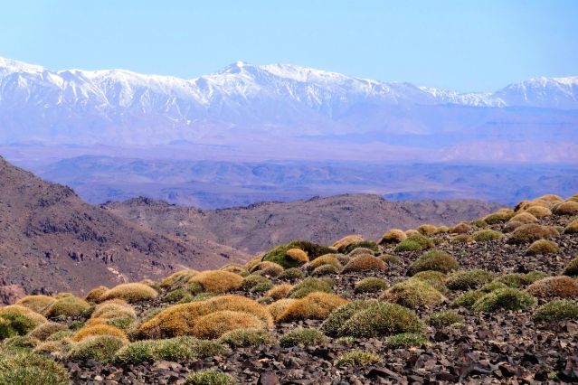 Image Djebel Siroua, sommet de l'Anti-Atlas (3304m)