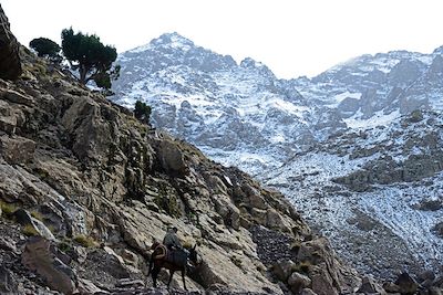 Voyage Toubkal, ascension sportive  2