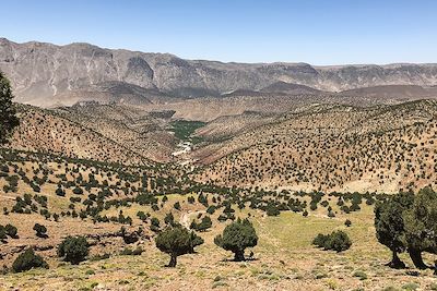 Descente vers la vallée des Bougmez - Maroc