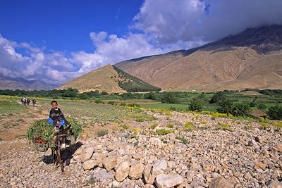 Randonnée avec mulet Maroc