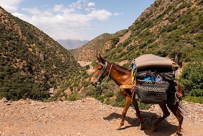 Vallée d'Azadene - Maroc