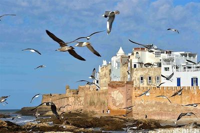 Essaouira - Maroc