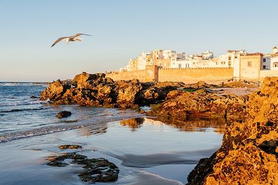 Voyage Côte Atlantique Marocaine