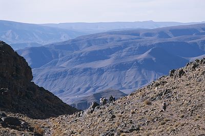 Voyage Le Sagho, la montagne et le désert  3