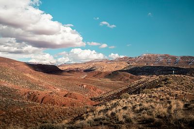 Randonnée avec mulet Sahara