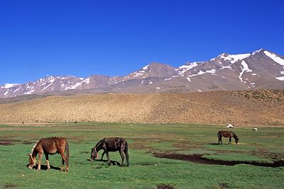 Plateau du Tar Keddit – Haut Atlas - Maroc