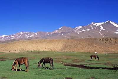© Laurent Boiveau - Plateau du Tar Keddit – Haut Atlas - Maroc Plateau du Tar Keddit – Haut Atlas - Maroc