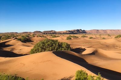 Désert de dunes - Maroc