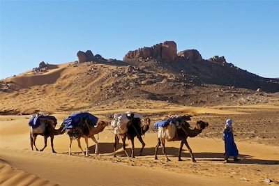 Caravane dans le désert - Maroc