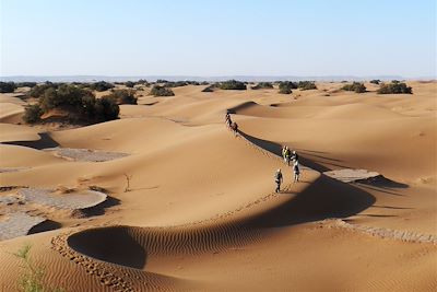 Randonnée dans les dunes du Sahara - Maroc