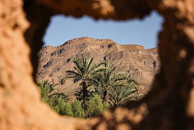 Oasis de Timidarte - Maroc