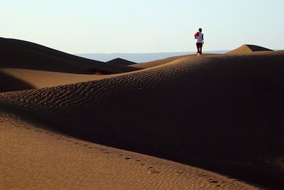 Voyage Tout au sud, le grand désert  3