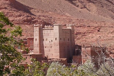 Dans la vallée M'Goun - Versant sud-est du Haut Atlas - Maroc