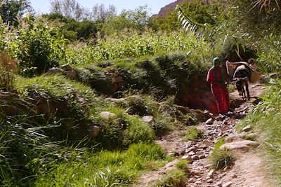 Dans la vallée M'Goun - Versant sud-est du Haut Atlas - Maroc