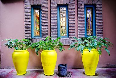 Jardin Majorelle - Marrakech - Maroc